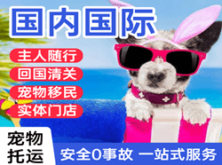 厦门空运地址国际宠物托运 【国